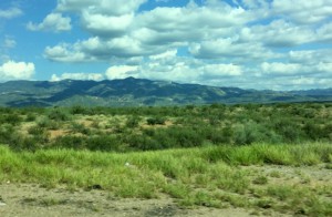 Scenic view from the road between Magdalena and Hermosillo showing greened desert landscape after the monsoon rains. 